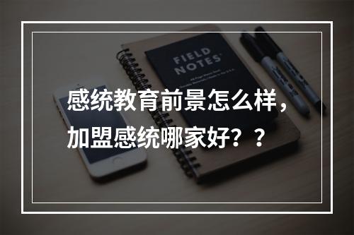 感统教育前景怎么样，加盟感统哪家好？？