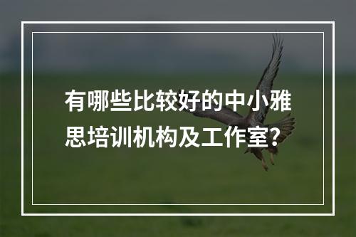 有哪些比较好的中小雅思培训机构及工作室？