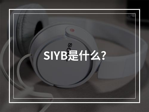 SIYB是什么？