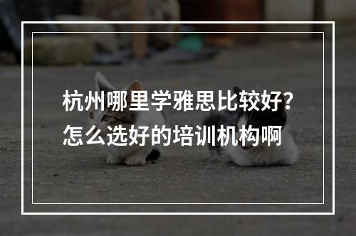 杭州哪里学雅思比较好？怎么选好的培训机构啊