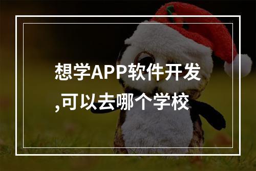 想学APP软件开发,可以去哪个学校