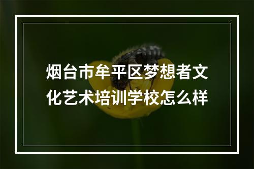 烟台市牟平区梦想者文化艺术培训学校怎么样