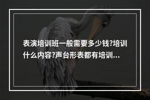 表演培训班一般需要多少钱?培训什么内容?声台形表都有培训吗?