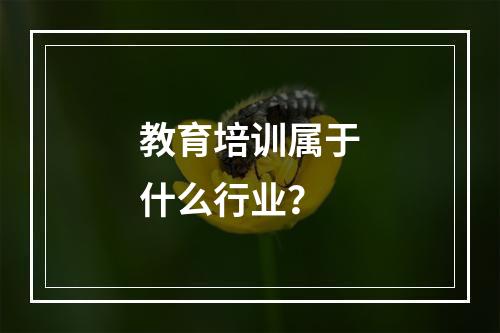 教育培训属于什么行业？