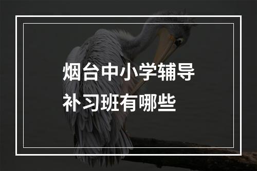 烟台中小学辅导补习班有哪些