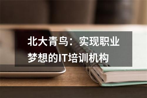 北大青鸟：实现职业梦想的IT培训机构