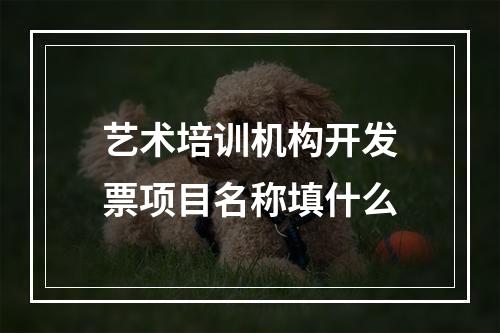 艺术培训机构开发票项目名称填什么