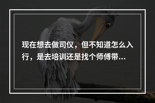 现在想去做司仪，但不知道怎么入行，是去培训还是找个师傅带，找师傅的话又米熟人。