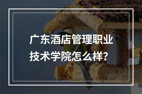 广东酒店管理职业技术学院怎么样？