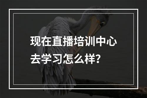 现在直播培训中心去学习怎么样？