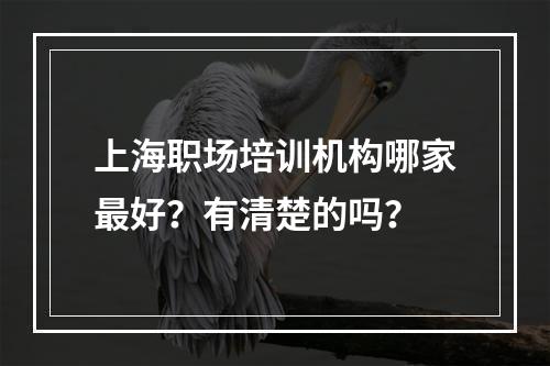 上海职场培训机构哪家最好？有清楚的吗？