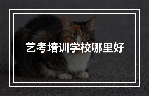 艺考培训学校哪里好