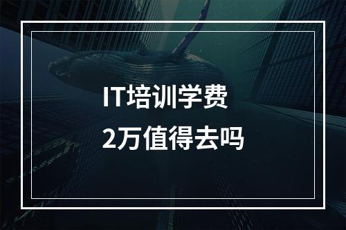 IT培训学费2万值得去吗