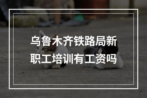 乌鲁木齐铁路局新职工培训有工资吗