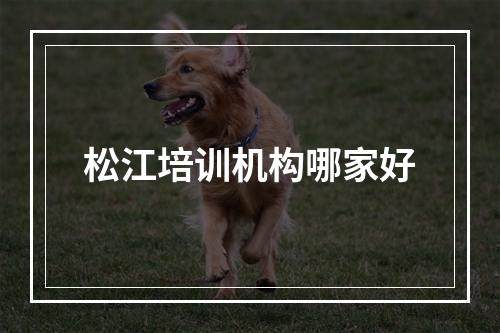 松江培训机构哪家好