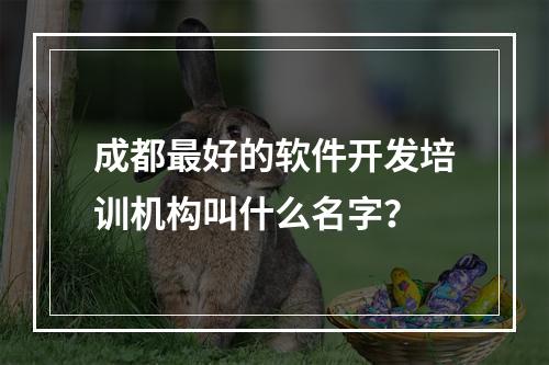 成都最好的软件开发培训机构叫什么名字？