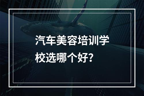 汽车美容培训学校选哪个好？