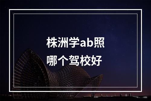 株洲学ab照哪个驾校好