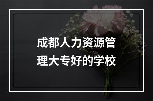 成都人力资源管理大专好的学校