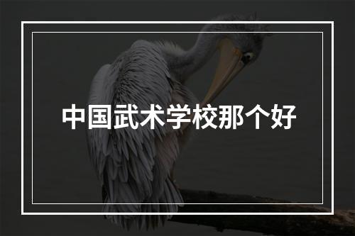 中国武术学校那个好