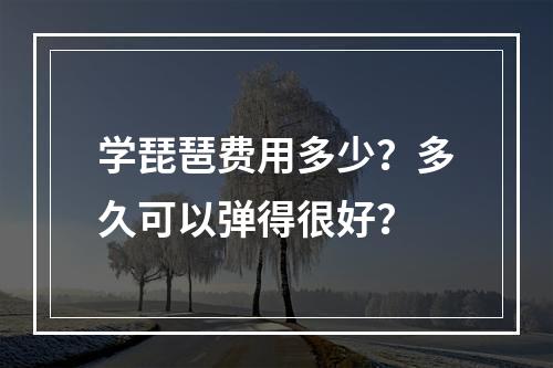 学琵琶费用多少？多久可以弹得很好？