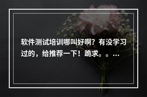 软件测试培训哪叫好啊？有没学习过的，给推荐一下！跪求。。。。。。。。。。。