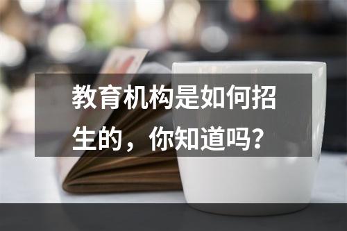 教育机构是如何招生的，你知道吗？