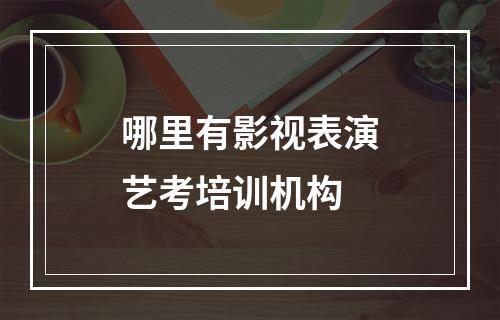 哪里有影视表演艺考培训机构