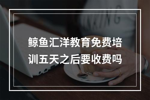 鲸鱼汇洋教育免费培训五天之后要收费吗