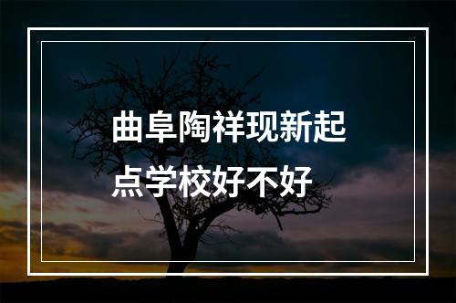 曲阜陶祥现新起点学校好不好