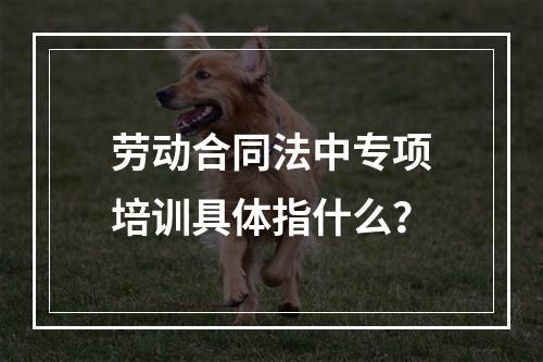 劳动合同法中专项培训具体指什么？