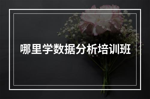 哪里学数据分析培训班