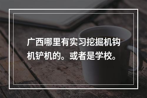 广西哪里有实习挖掘机钩机铲机的。或者是学校。