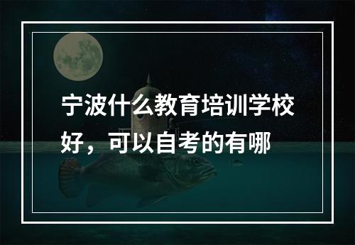 宁波什么教育培训学校好，可以自考的有哪