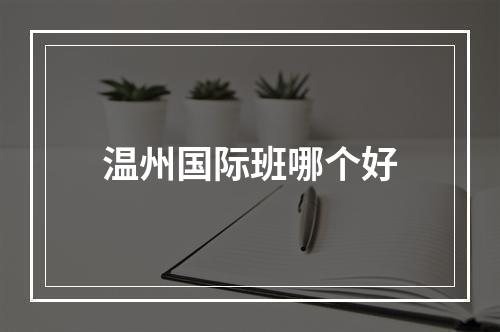 温州国际班哪个好