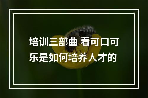 培训三部曲 看可口可乐是如何培养人才的