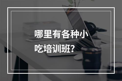 哪里有各种小吃培训班？