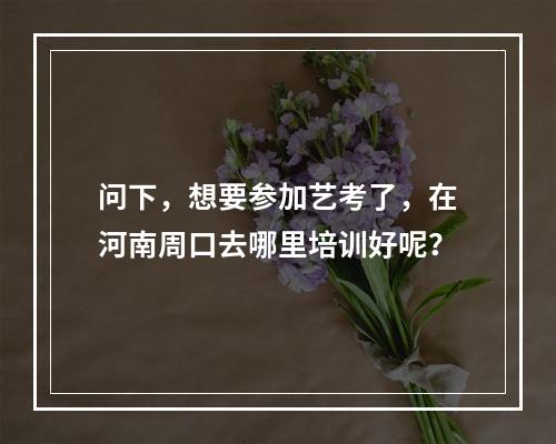 问下，想要参加艺考了，在河南周口去哪里培训好呢？