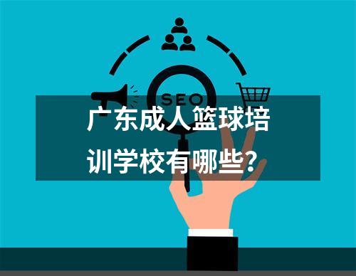 广东成人篮球培训学校有哪些？