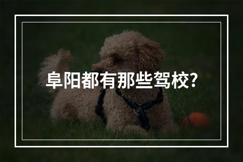 阜阳都有那些驾校?