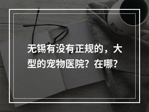 无锡有没有正规的，大型的宠物医院？在哪？