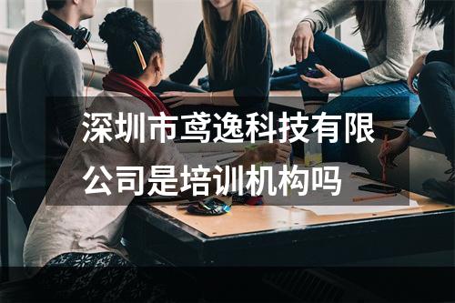 深圳市鸢逸科技有限公司是培训机构吗