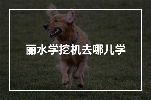 丽水学挖机去哪儿学