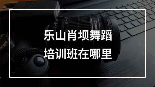 乐山肖坝舞蹈培训班在哪里