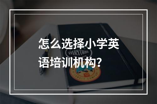 怎么选择小学英语培训机构？