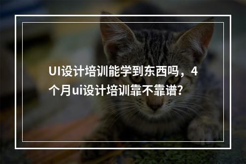 UI设计培训能学到东西吗，4个月ui设计培训靠不靠谱？