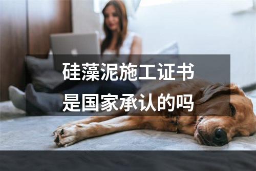 硅藻泥施工证书是国家承认的吗