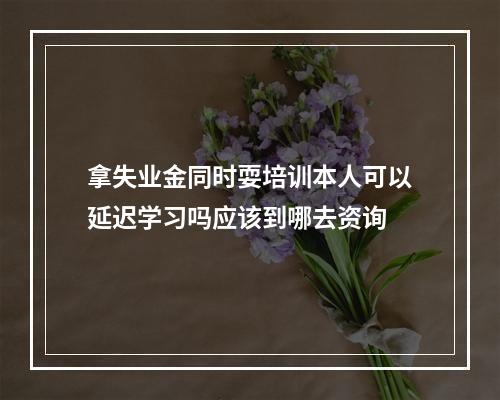 拿失业金同时耍培训本人可以延迟学习吗应该到哪去资询