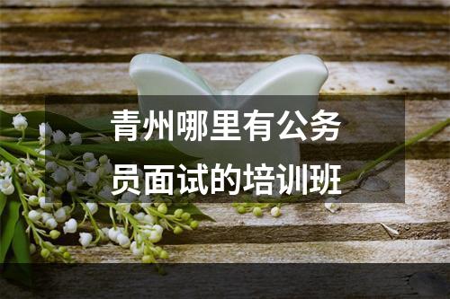 青州哪里有公务员面试的培训班