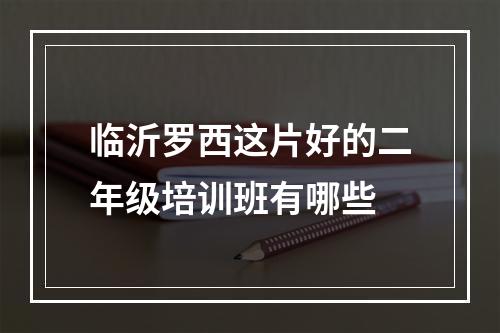 临沂罗西这片好的二年级培训班有哪些